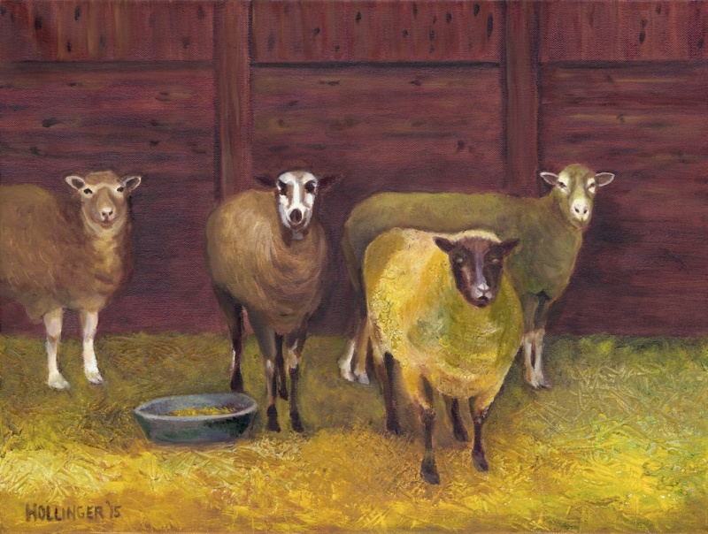 sheep by Mary Hollinger